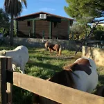 Quinta - Maca * Loulé