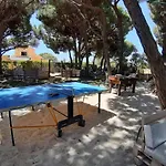 Quinta - Maca