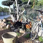 Feriehus Quinta - Maca *