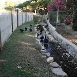 Quinta - Maca Σπίτι διακοπών