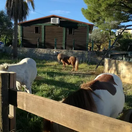 Quinta - Maca * Loulé