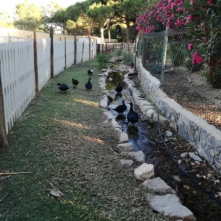 Quinta - Maca Prázdninový dům