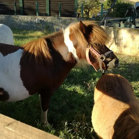Quinta - Maca Casa vacanze Loulé