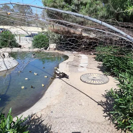 Quinta - Maca Loulé