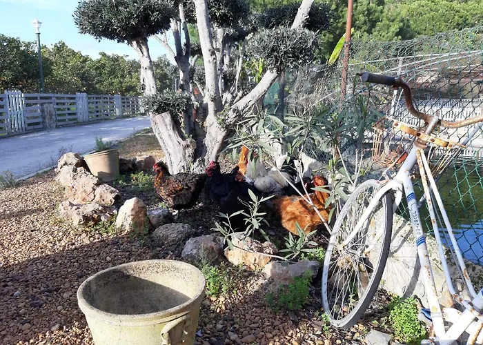 別荘 Quinta - Maca *