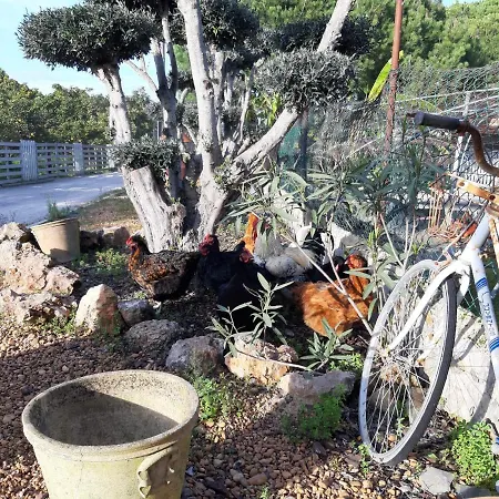 Semesterbostad Quinta - Maca *